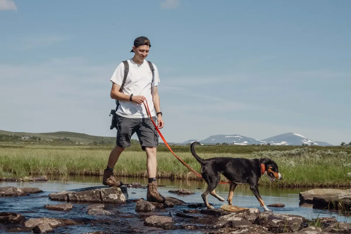 Mensch und Hund überqueren einen Bach über Steine