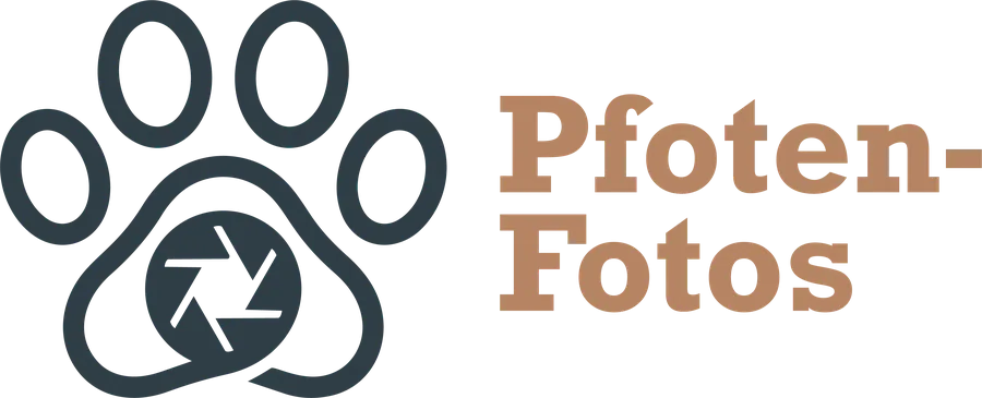 Pfoten-Fotos